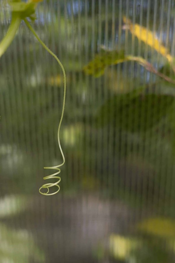 Comment les poissons gèrent-ils les changements rapides de température dans leur milieu?